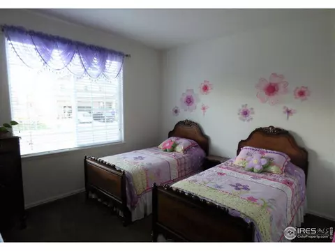 317 Shadowbrook Dr, Windsor, CO 80550 photo 12