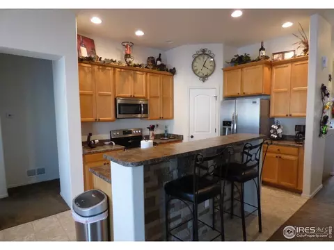 317 Shadowbrook Dr, Windsor, CO 80550 photo 3