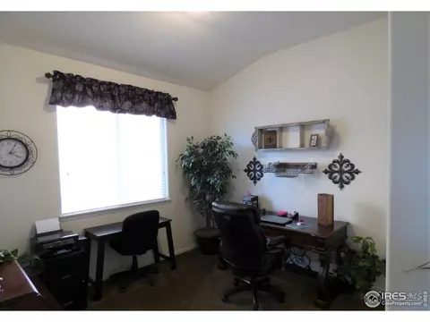 317 Shadowbrook Dr, Windsor, CO 80550 photo 13