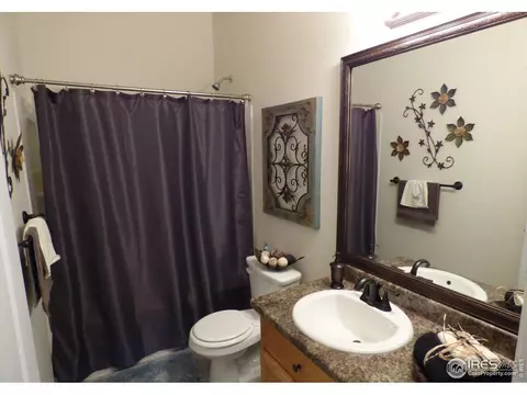 317 Shadowbrook Dr, Windsor, CO 80550 photo 15