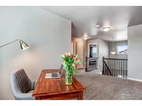 2412 Tabor St, Berthoud, CO 80513 photo 20