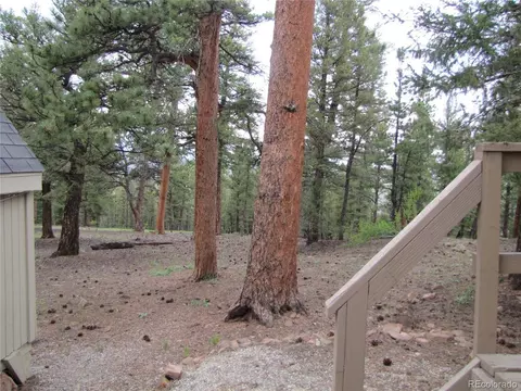 509 Lantern Loop, Hartsel, CO 80449 photo 5
