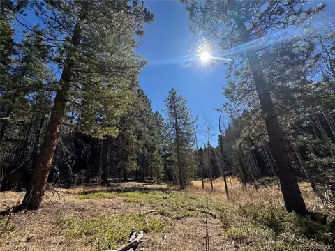 14 Wallace Ave, Conifer, CO 80433