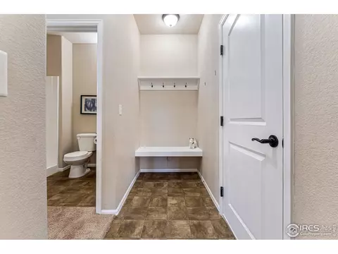 1510 First Light Dr, Windsor, CO 80550 photo 18