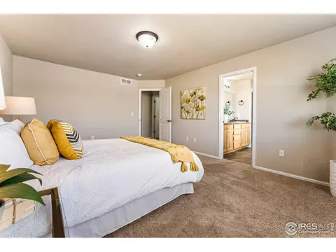 1510 First Light Dr, Windsor, CO 80550 photo 24