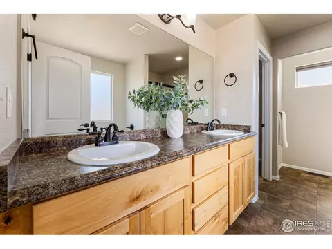 1510 First Light Dr, Windsor, CO 80550 photo 26