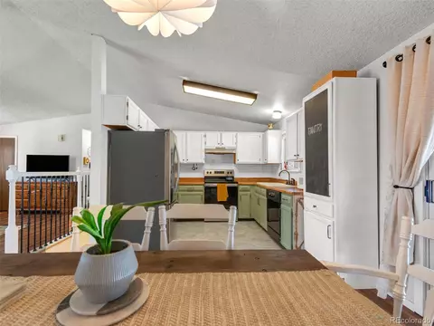 4386 E 118th Pl, Thornton, CO 80233 photo 9