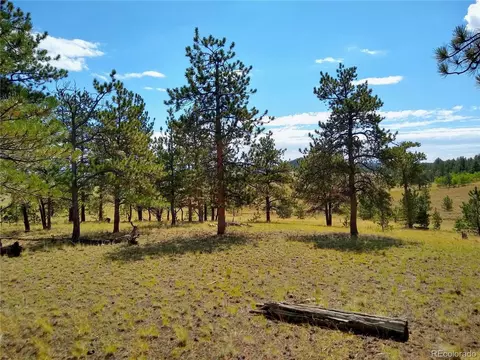 2789 Wagon Wheel Rd, Hartsel, CO 80449