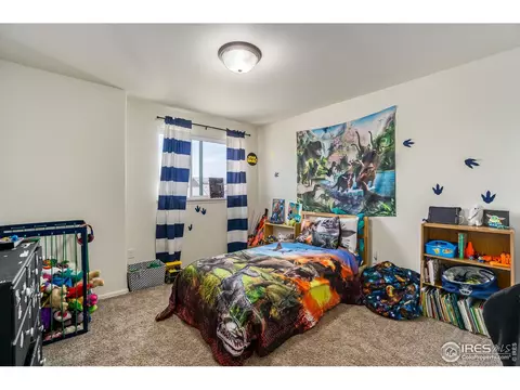 1107 Ibex Dr, Windsor, CO 80550 photo 15