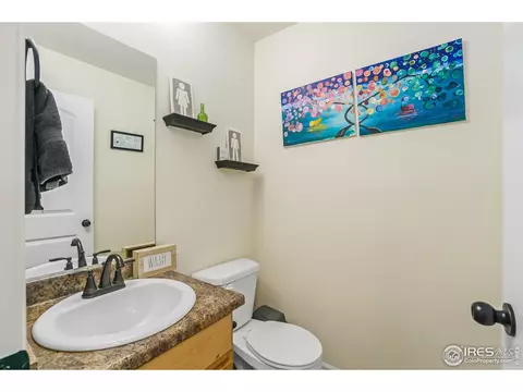 1107 Ibex Dr, Windsor, CO 80550 photo 10