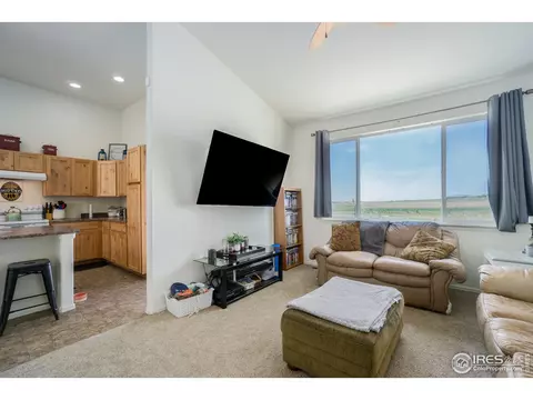 1107 Ibex Dr, Windsor, CO 80550 photo 6