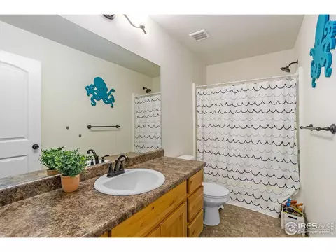 1107 Ibex Dr, Windsor, CO 80550 photo 16