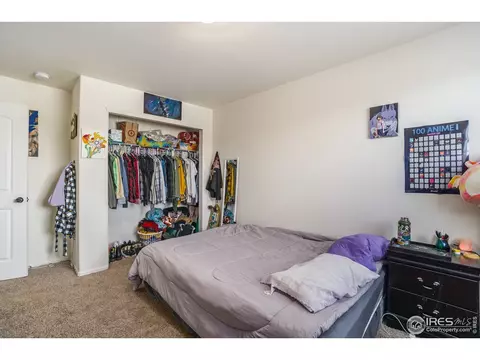 1107 Ibex Dr, Windsor, CO 80550 photo 13