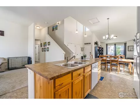 1107 Ibex Dr, Windsor, CO 80550 photo 8