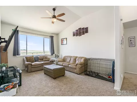 1107 Ibex Dr, Windsor, CO 80550 photo 4