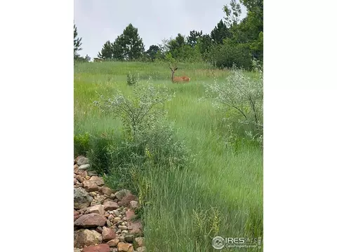 1480 Bellevue Dr, Boulder, CO 80302 photo 39