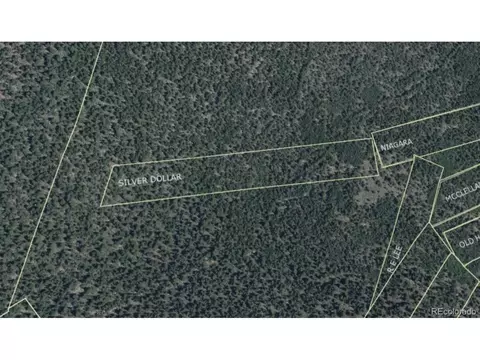 0 Silver Dollar Lode, Georgetown, CO 80444