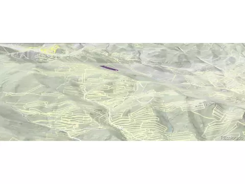 0 Silver Dollar Lode, Georgetown, CO 80444 photo 4