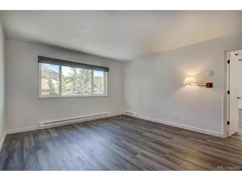1576 S Chipmunk Ln, Silverthorne, CO 80498 photo 33