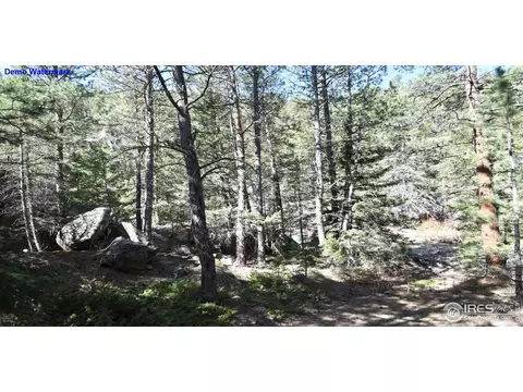 817 Hemlock Dr, Lyons, CO 80540 photo 29