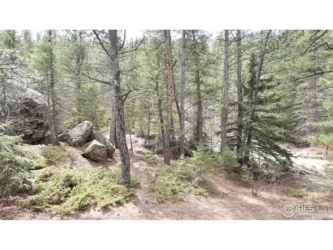 817 Hemlock Dr, Lyons, CO 80540 photo 18