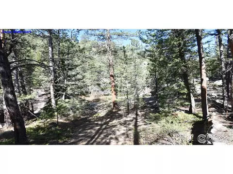 817 Hemlock Dr, Lyons, CO 80540 photo 28
