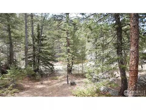817 Hemlock Dr, Lyons, CO 80540 photo 17