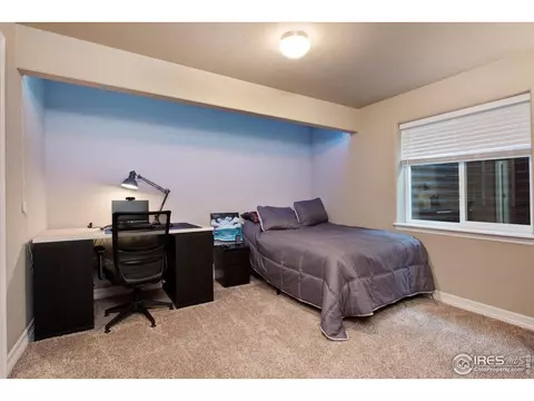 1846 Paley Dr, Windsor, CO 80550 photo 21