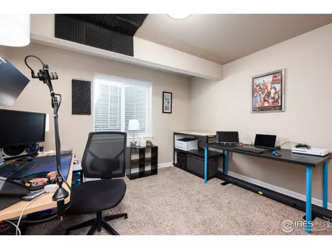 1846 Paley Dr, Windsor, CO 80550 photo 19