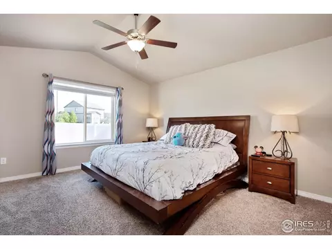 1846 Paley Dr, Windsor, CO 80550 photo 10