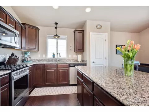 1846 Paley Dr, Windsor, CO 80550 photo 4