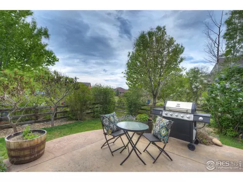 110 Noland Ct, Lyons, CO 80540 photo 34