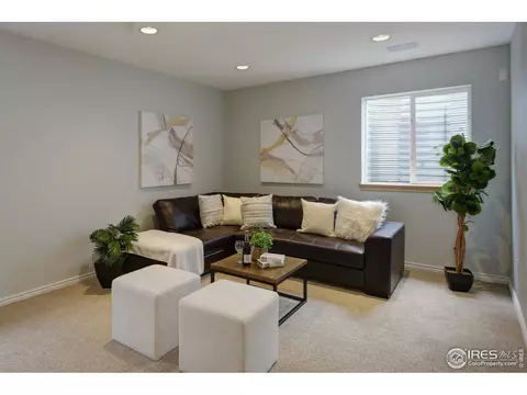 110 Noland Ct, Lyons, CO 80540 photo 23
