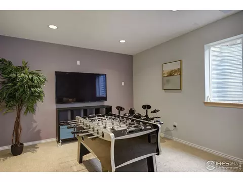 110 Noland Ct, Lyons, CO 80540 photo 25