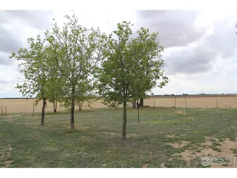 7088 County Road K, Wiggins, CO 80654 photo 34