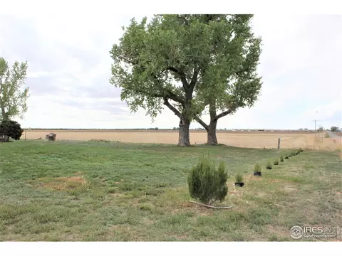 7088 County Road K, Wiggins, CO 80654 photo 31