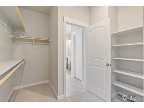 4390 Lyceum Ct, Timnath, CO 80547 photo 19