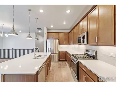 4390 Lyceum Ct, Timnath, CO 80547 photo 11