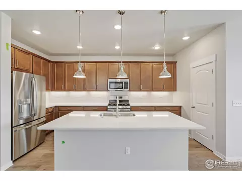 4390 Lyceum Ct, Timnath, CO 80547 photo 9
