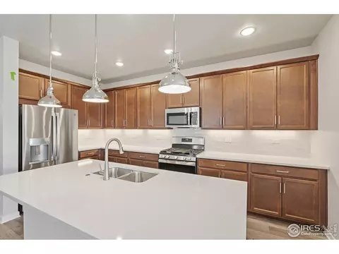 4390 Lyceum Ct, Timnath, CO 80547 photo 7
