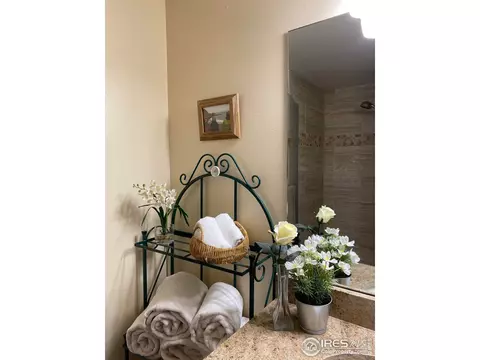 536 Taylor Rd, Lyons, CO 80540 photo 35