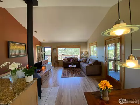 536 Taylor Rd, Lyons, CO 80540 photo 5