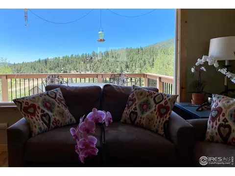 536 Taylor Rd, Lyons, CO 80540 photo 30