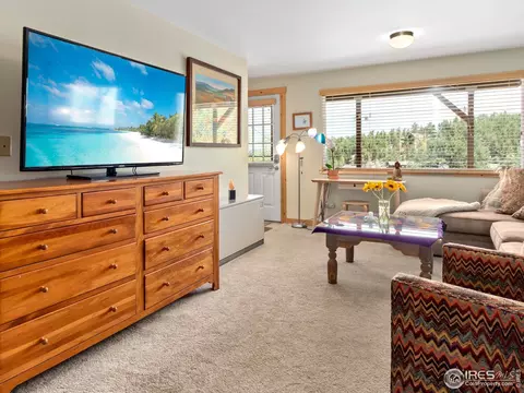 536 Taylor Rd, Lyons, CO 80540 photo 18