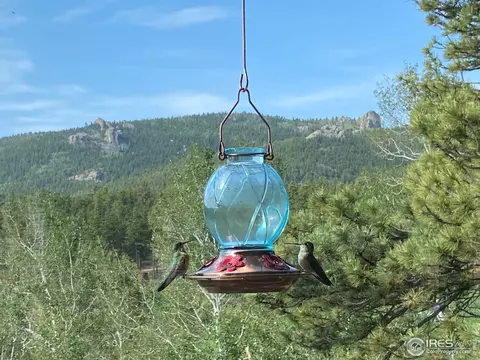 536 Taylor Rd, Lyons, CO 80540 photo 31