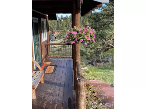 536 Taylor Rd, Lyons, CO 80540 photo 14