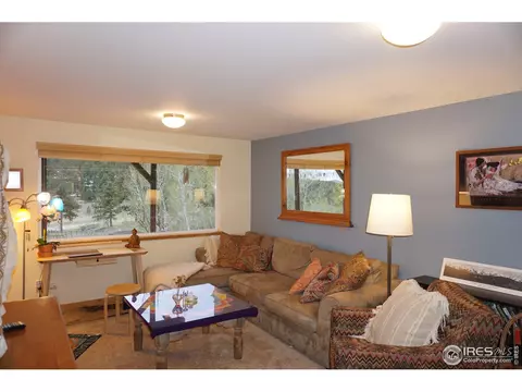 536 Taylor Rd, Lyons, CO 80540 photo 10