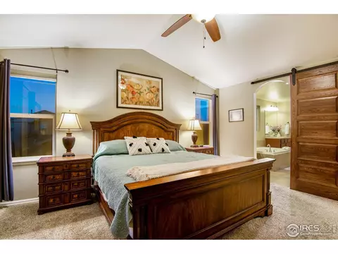 5762 Graphite St, Timnath, CO 80547 photo 21