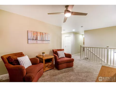 5762 Graphite St, Timnath, CO 80547 photo 19