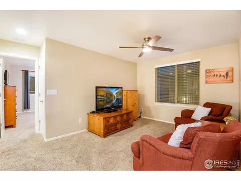 5762 Graphite St, Timnath, CO 80547 photo 18
